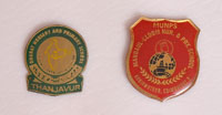 school metal badge